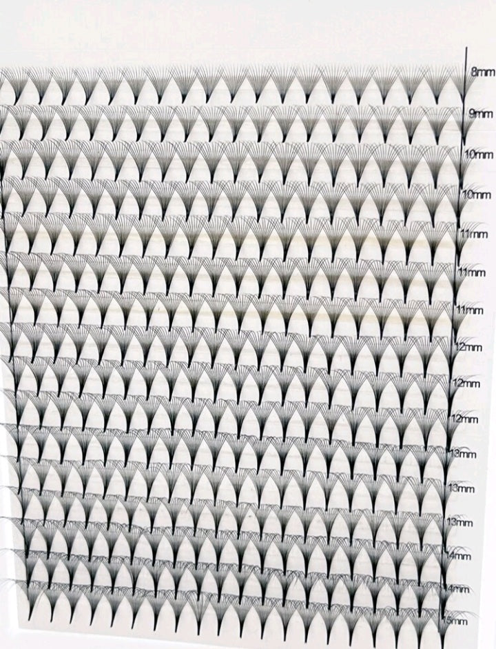 Fanned Eyelash Extention