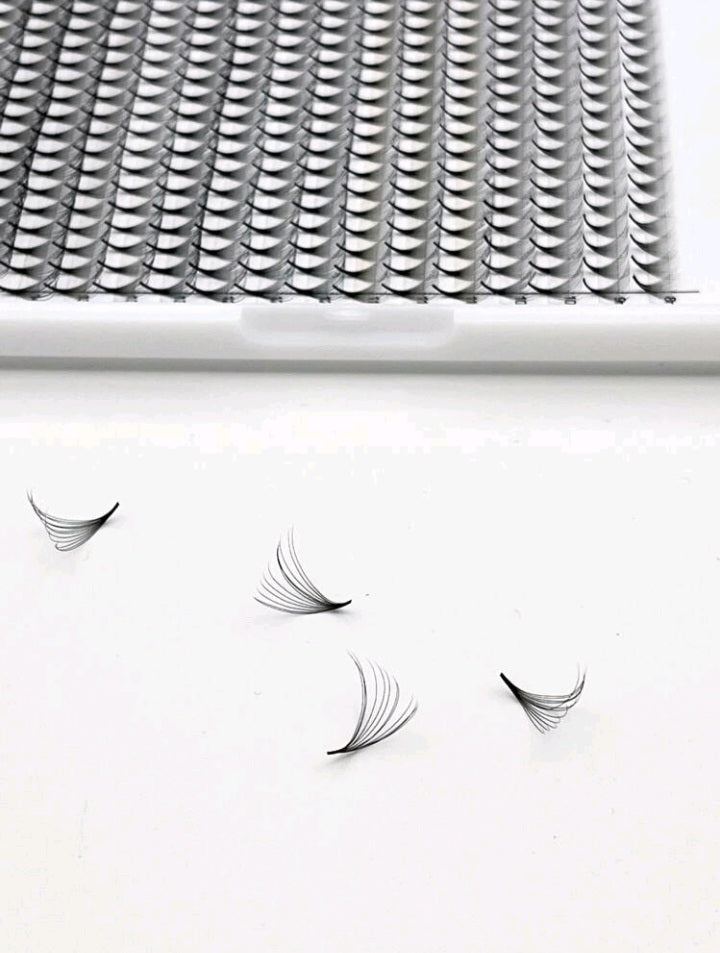 Fanned Eyelash Extention